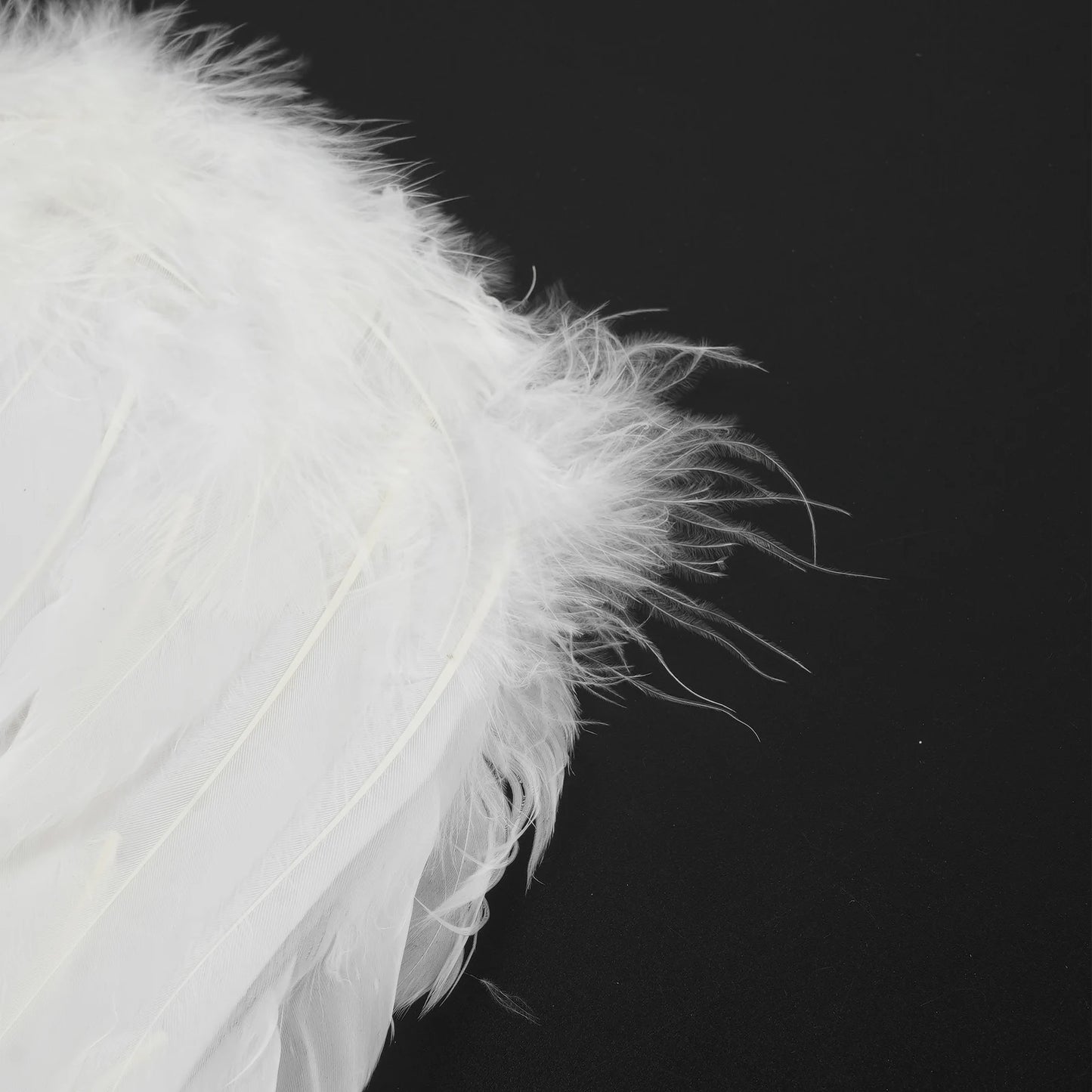 White & Black Angel Wings – Real Feather Costume Accessories for Kids & Adults