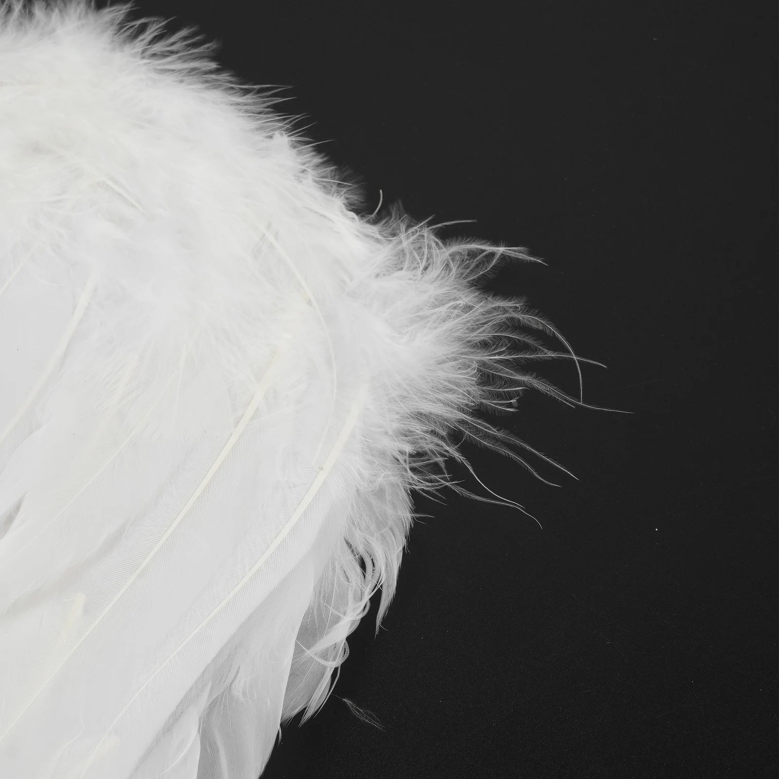 White & Black Angel Wings – Real Feather Costume Accessories for Kids & Adults