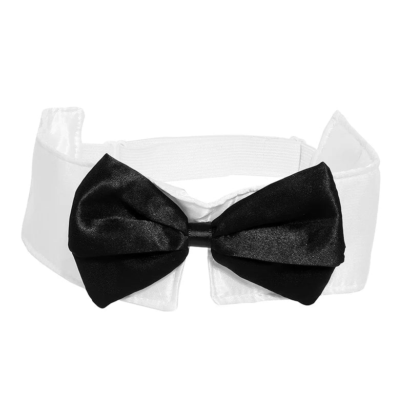 Sexy Bunny Girl Costume Set – Ears, Bow Tie, Tail & Gloves | Women’s Easter & Halloween Party Cosplay Outfit